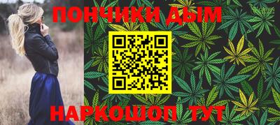 спайс Кингисепп