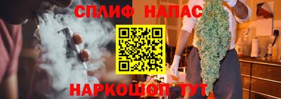 шишки Кинель