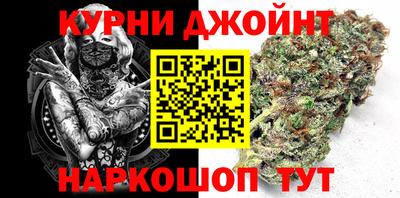 спайс Кингисепп