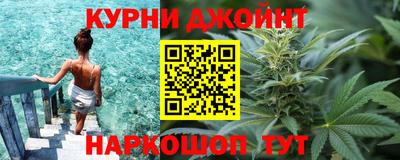 спайс Кингисепп