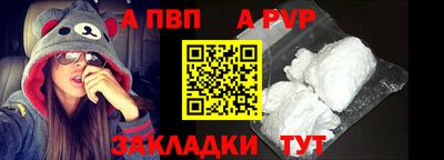 спайс Кингисепп
