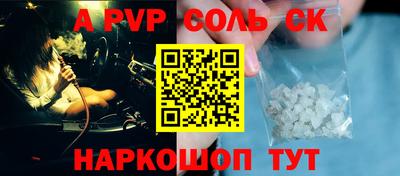 спайс Кингисепп
